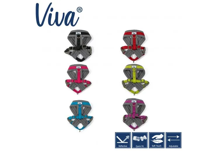 Ancol - Viva Nylon Padded Harness - Black - Small (36-42cm)