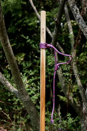 Hiking Stick